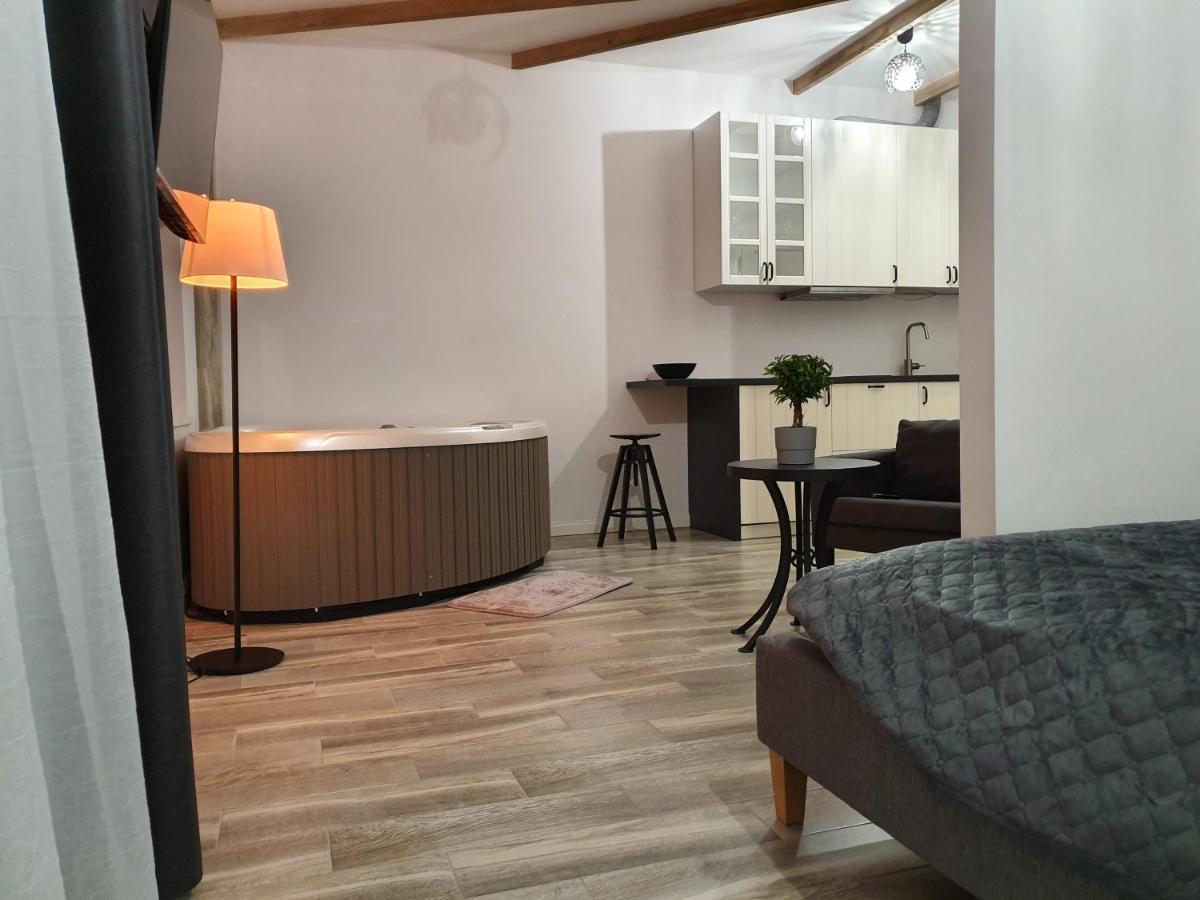 Apartamentai Su Jacuzzi Panevėžys Buitenkant foto