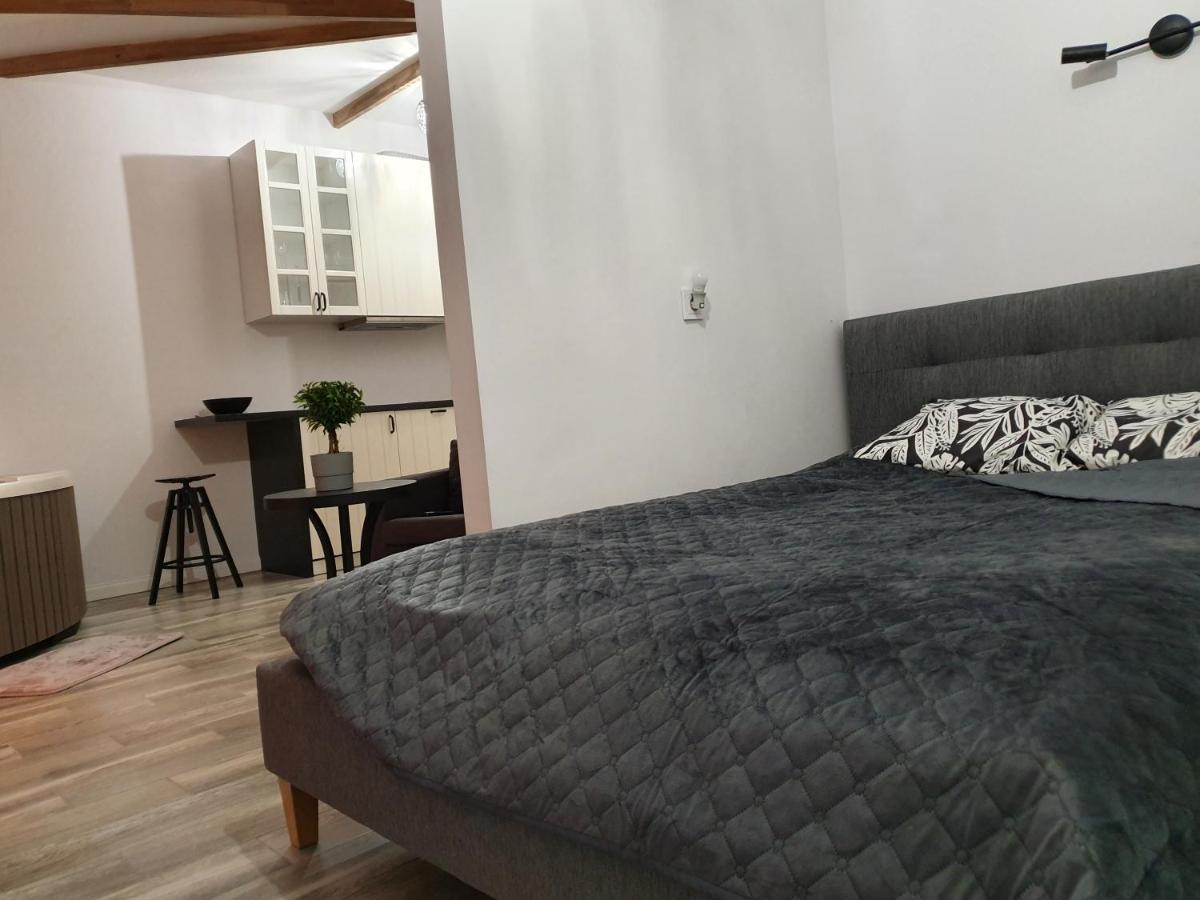 Apartamentai Su Jacuzzi Panevėžys Buitenkant foto
